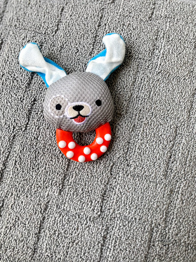 Pet Supply Store «Petco Animal Supplies», reviews and photos, 13127 N Dale Mabry Hwy, Tampa, FL 33618, USA