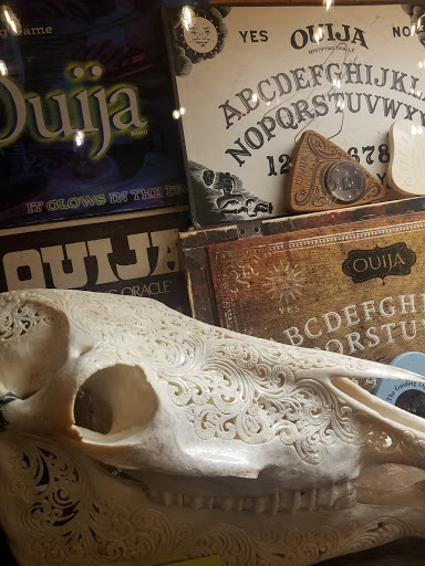 Bar «The Odditorium», reviews and photos, 1045 Haywood Rd, Asheville, NC 28806, USA