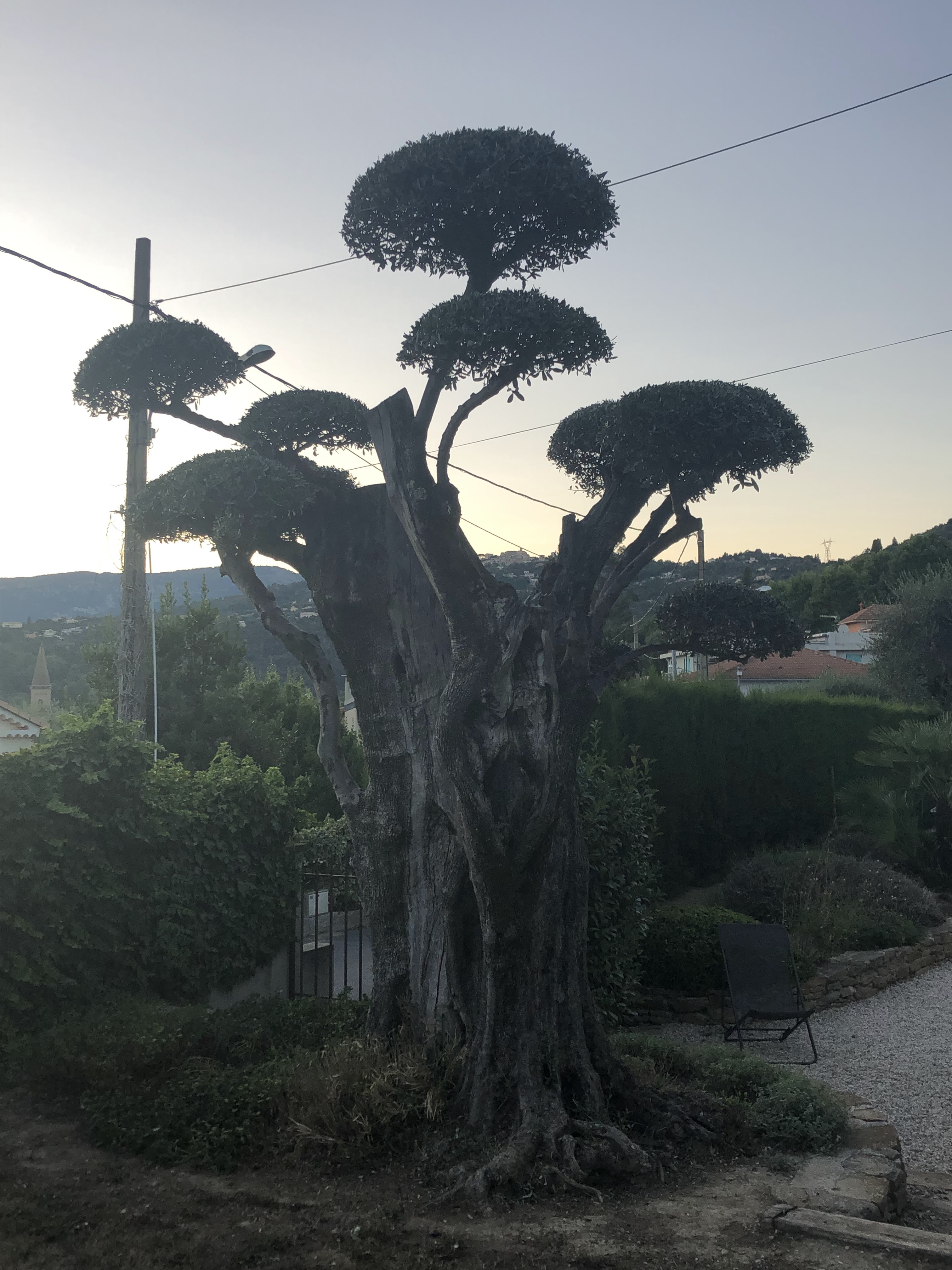 Photo n° 1 de l'avis de Anne-Laure.L fait le 04/08/2019 à 09:59