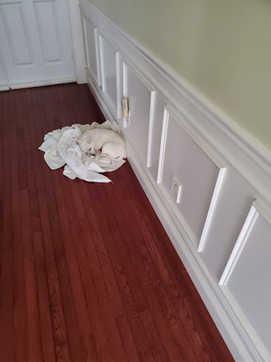 Furniture Store «Raymour & Flanigan Furniture and Mattress Store», reviews and photos, 1360 S Washington St, North Attleborough, MA 02760, USA