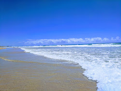 Foto af Dog & Cat Beach med lang lige kyst