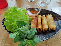 Rouleau de printemps du Restaurant thaï MAMA THAÏ à Montévrain - n°6
