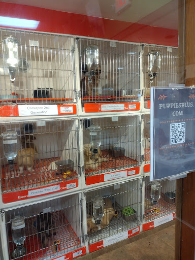 Shopping Mall «Melbourne Square Mall», reviews and photos, 1700 W New Haven Ave, Melbourne, FL 32904, USA