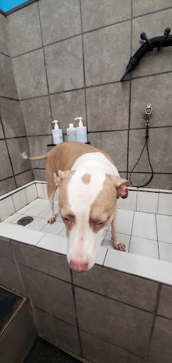 Pet Supply Store «Pet Supplies Plus», reviews and photos, 1500 McMullen Booth Rd, Clearwater, FL 33759, USA