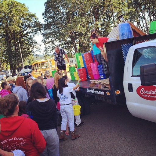 Department Store «Coastal Farm & Ranch», reviews and photos, 1355 Goldfish Farm Rd SE, Albany, OR 97322, USA