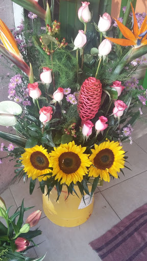 Floreria  Galeana – Tultepec