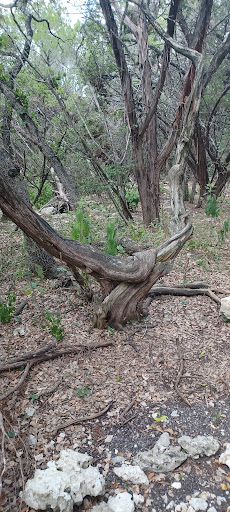 Nature Preserve «Stillhouse Hollow Nature Preserve», reviews and photos, 7810 Sterling Dr, Austin, TX 78759, USA