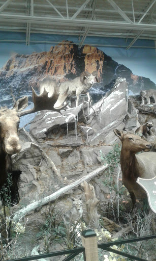 Outdoor Sports Store «Field & Stream», reviews and photos, 1501 Sentinel Dr Ste B, Chesapeake, VA 23320, USA