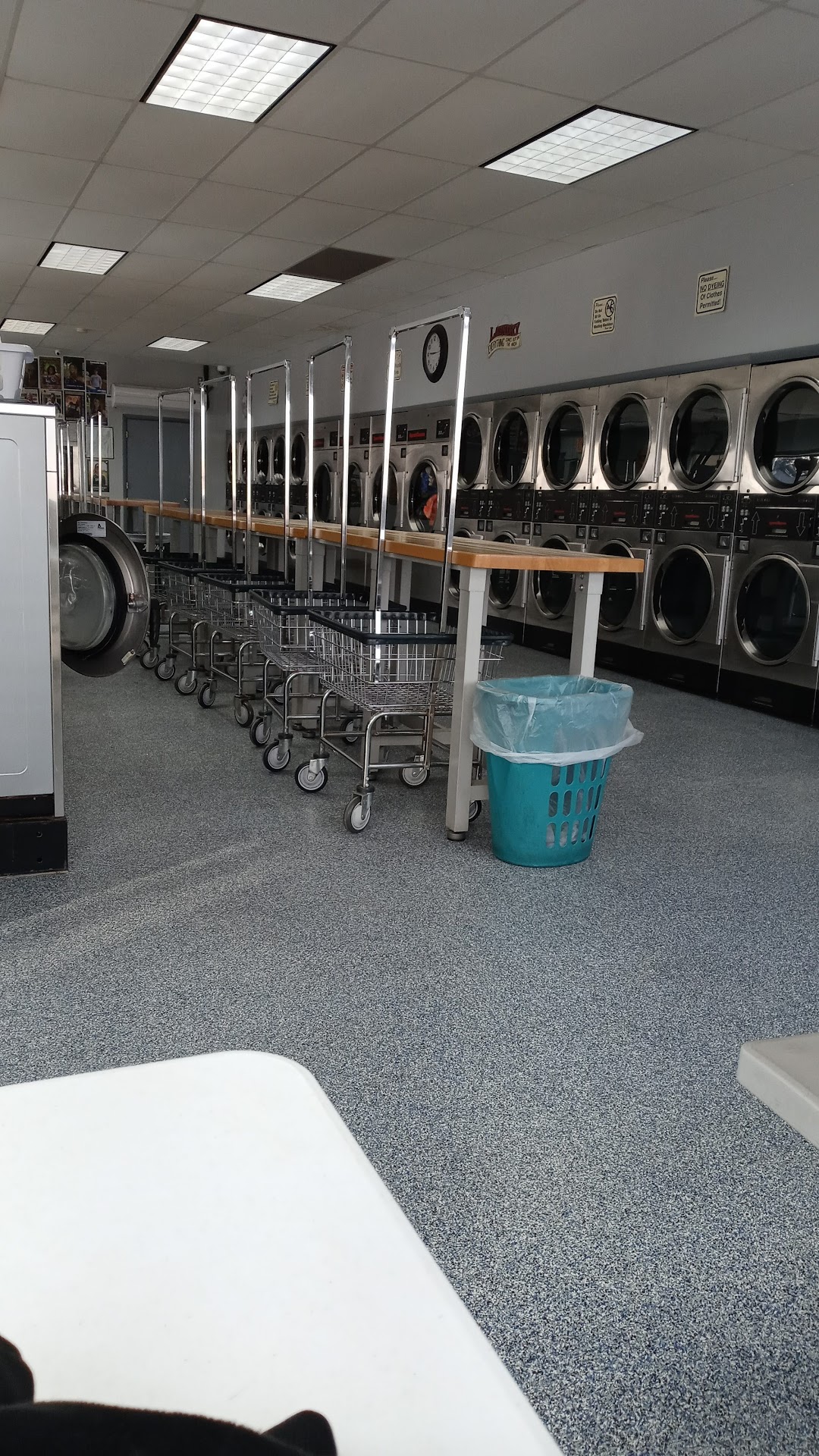 Nana Sues Laundry