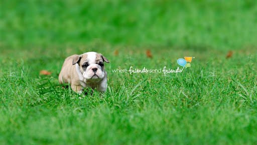 Flooring Store «Flooring America», reviews and photos, 4100 S US Hwy 17 92, Casselberry, FL 32707, USA