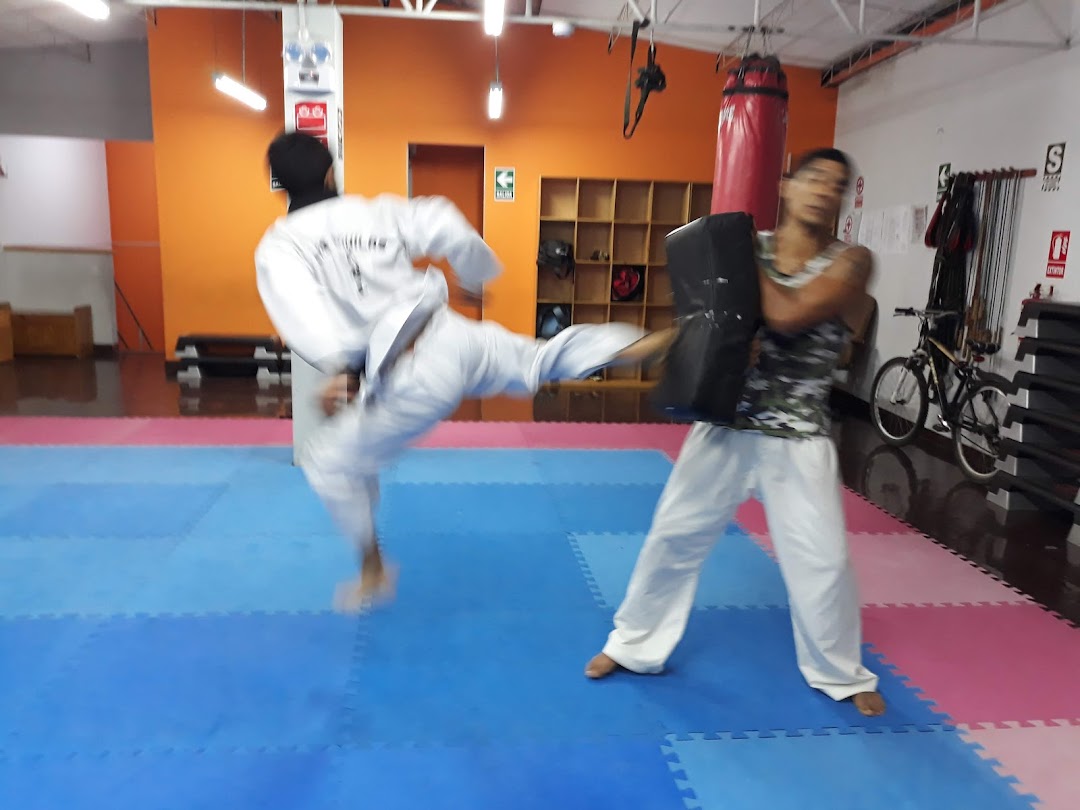 Taekwondo Las Aguilas Surco