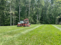 Green Branch Landscaping - Photo 2 - Car repair in , Alexandria