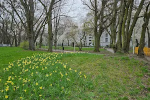 Park Abramowskiego image