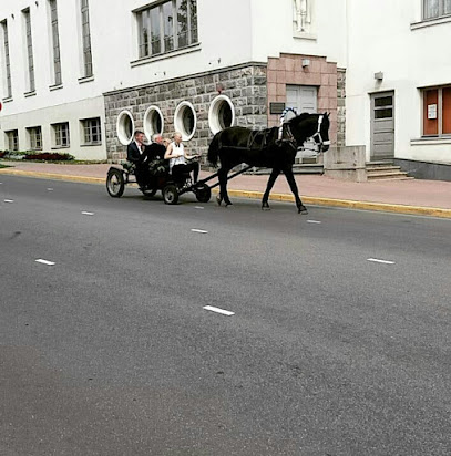 lauku sēta jaunzemi