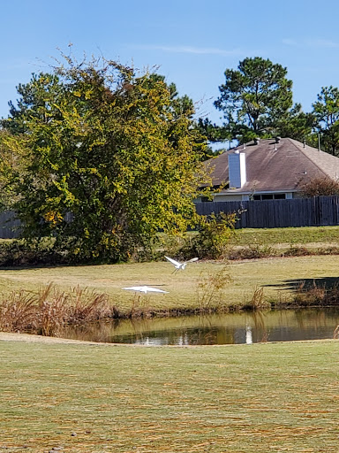 Public Golf Course «Cypress Lakes Golf Course», reviews and photos, 18700 Cypresswood Dr, Cypress, TX 77429, USA