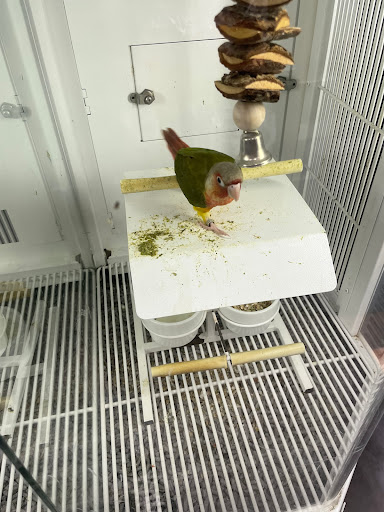 Pet Supply Store «Petco Animal Supplies», reviews and photos, 9111 Metropolitan Ave, Rego Park, NY 11374, USA