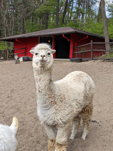 Zoo «Good Zoo & Benedum Theater», reviews and photos, 465 Lodge Dr, Wheeling, WV 26003, USA