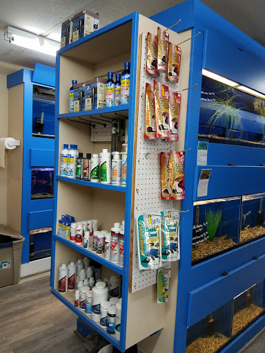 Tropical Fish Store «Aquatic Treasures/Bruces Pond Shop», reviews and photos, 20708 Gudith Rd, Brownstown Charter Twp, MI 48183, USA