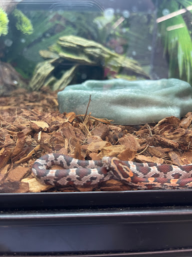 Pet Supply Store «PetSmart», reviews and photos, 625 W Crossville Rd, Roswell, GA 30075, USA