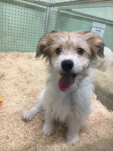 Tropical Fish Store «Aquatic Dog», reviews and photos, 7429 E Iliff Ave, Denver, CO 80231, USA