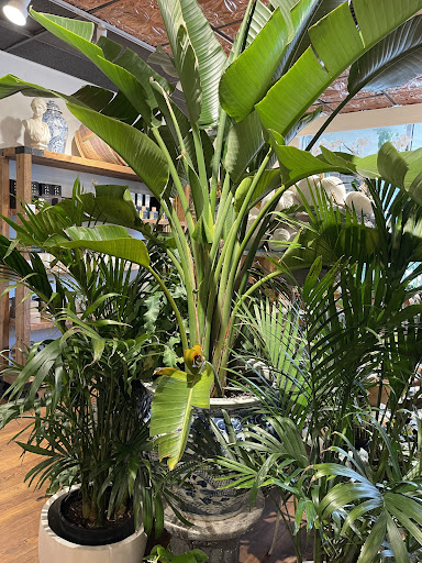 Florist «Lilia Flower Boutique», reviews and photos, 2160 Wayzata Blvd, Long Lake, MN 55356, USA