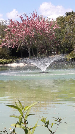 Zoo «Zoo Miami», reviews and photos, 12400 SW 152nd St, Miami, FL 33177, USA