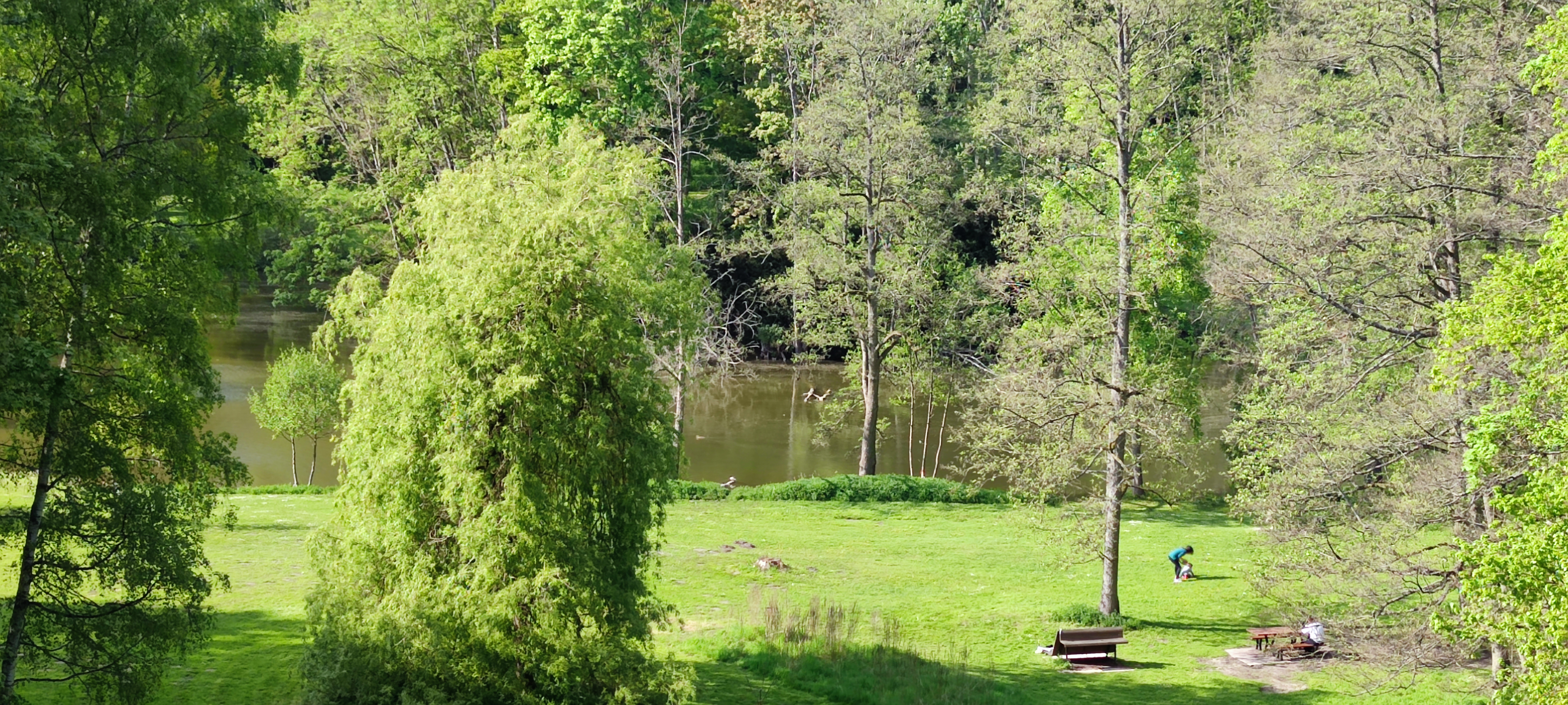 Photo n° 3 de l'avis de Lilian.a fait le 30/04/2022 à 17:19