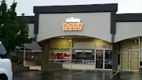 Strictly REEF - Car repair in Reno, NV, Sparks - Rated 4.6/5
