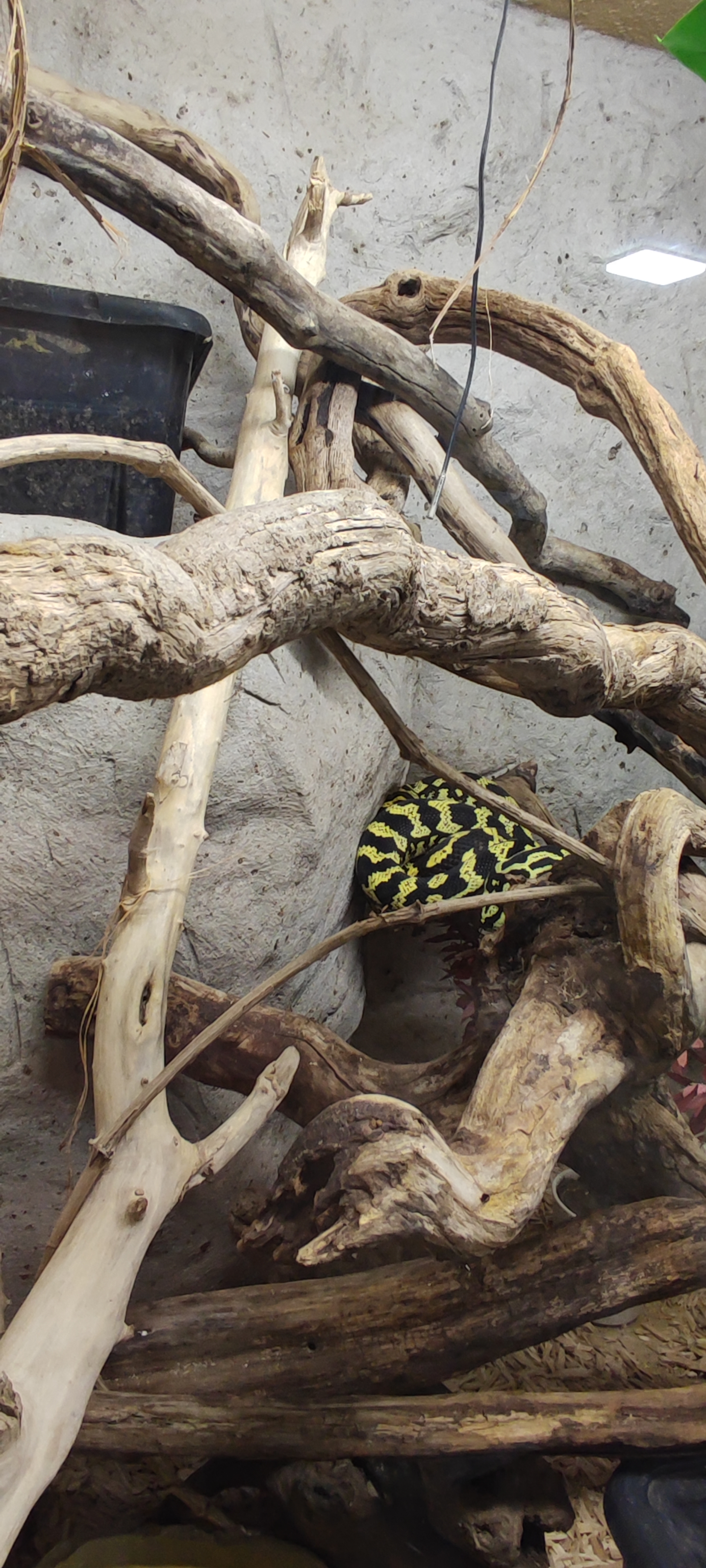 Photo n° 41 de l'avis de Yannick.o fait le 11/02/2023 à 16:29