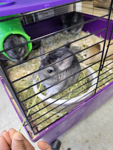 Pet Store «Animal Island Pet Shop», reviews and photos, 14411 S Cicero Ave, Midlothian, IL 60445, USA