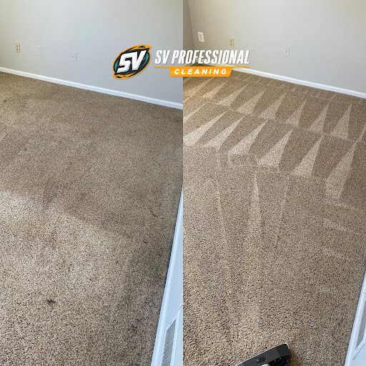 SV Professional Cleaning