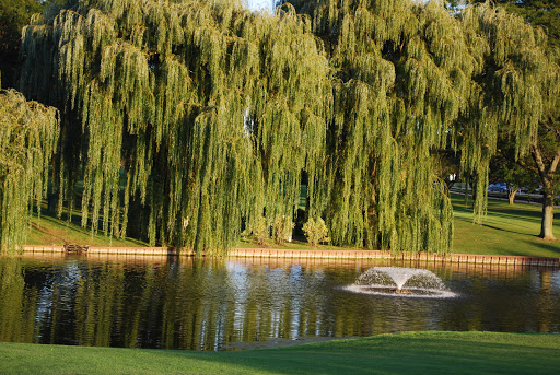 Public Golf Course «Apple Orchard Golf Course», reviews and photos, 692 W Stearns Rd, Bartlett, IL 60103, USA