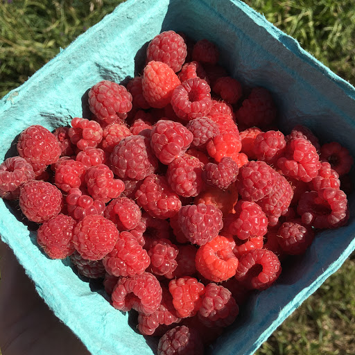 Produce Market «Berry Patch Farms», reviews and photos, 13785 Potomac St, Brighton, CO 80601, USA