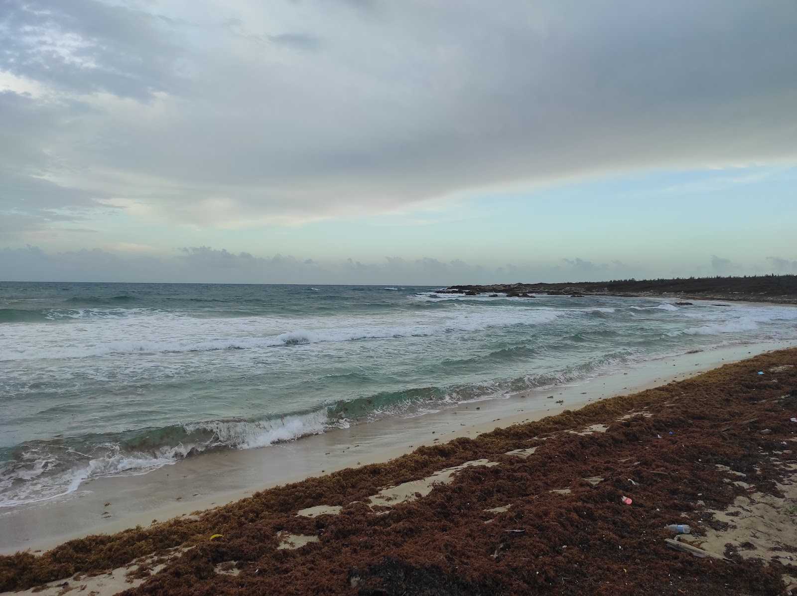 Photo de Genesis Beach avec un niveau de propreté de sale
