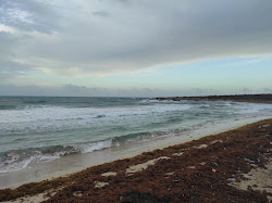Foto af Genesis Beach med lav niveau af renlighed