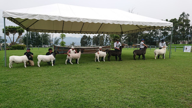 Asociación Holstein Friesian del Ecuador - Quito