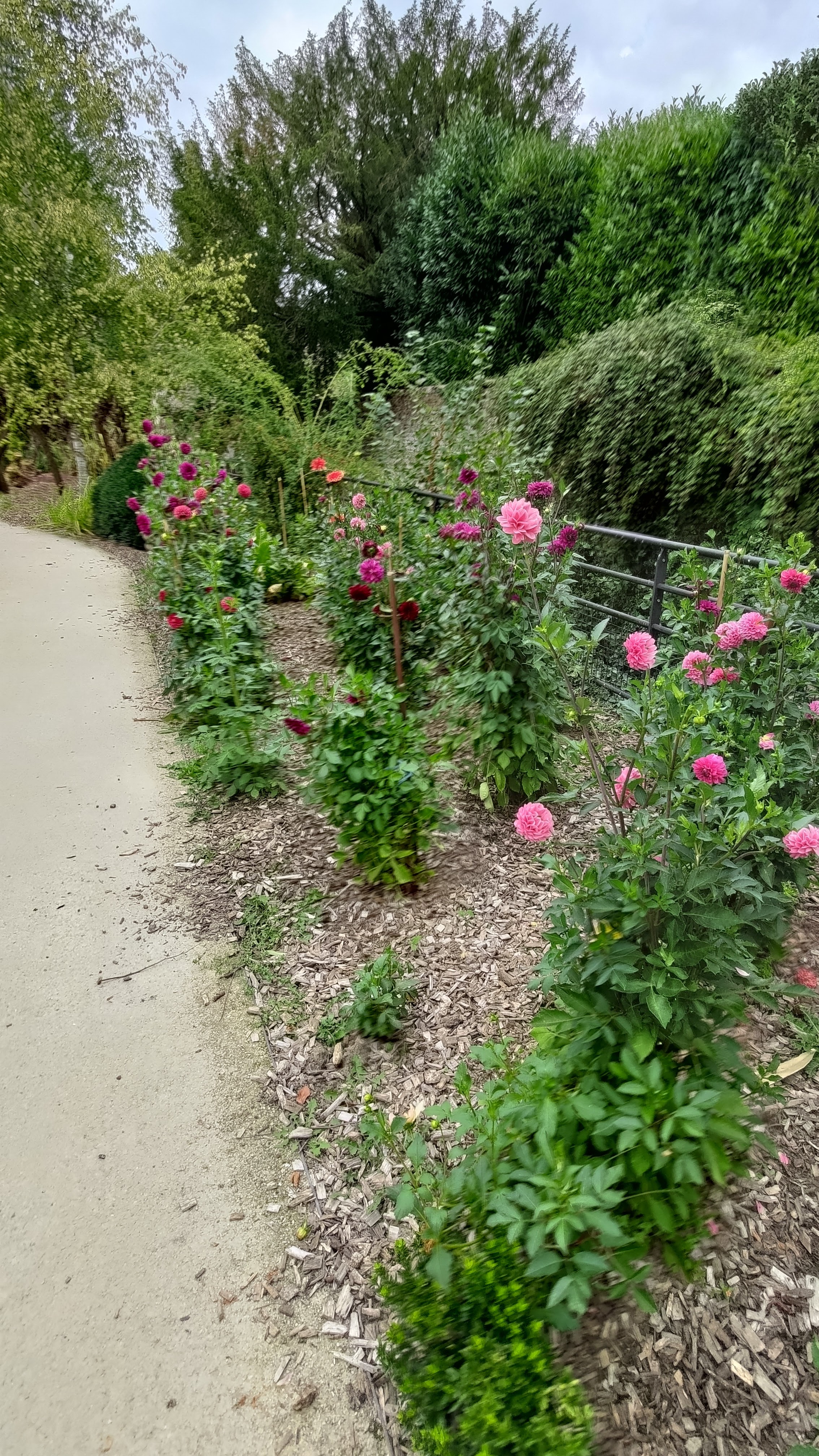 Photo n° 2 de l'avis de jean-philippe.a fait le 15/09/2022 à 07:20
