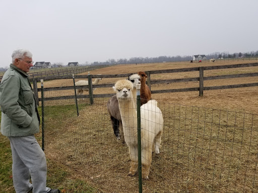 Farm «Painted Sky Alpaca Farm & Fiber Mill», reviews and photos, 95 Knight House Ln, Earleville, MD 21919, USA