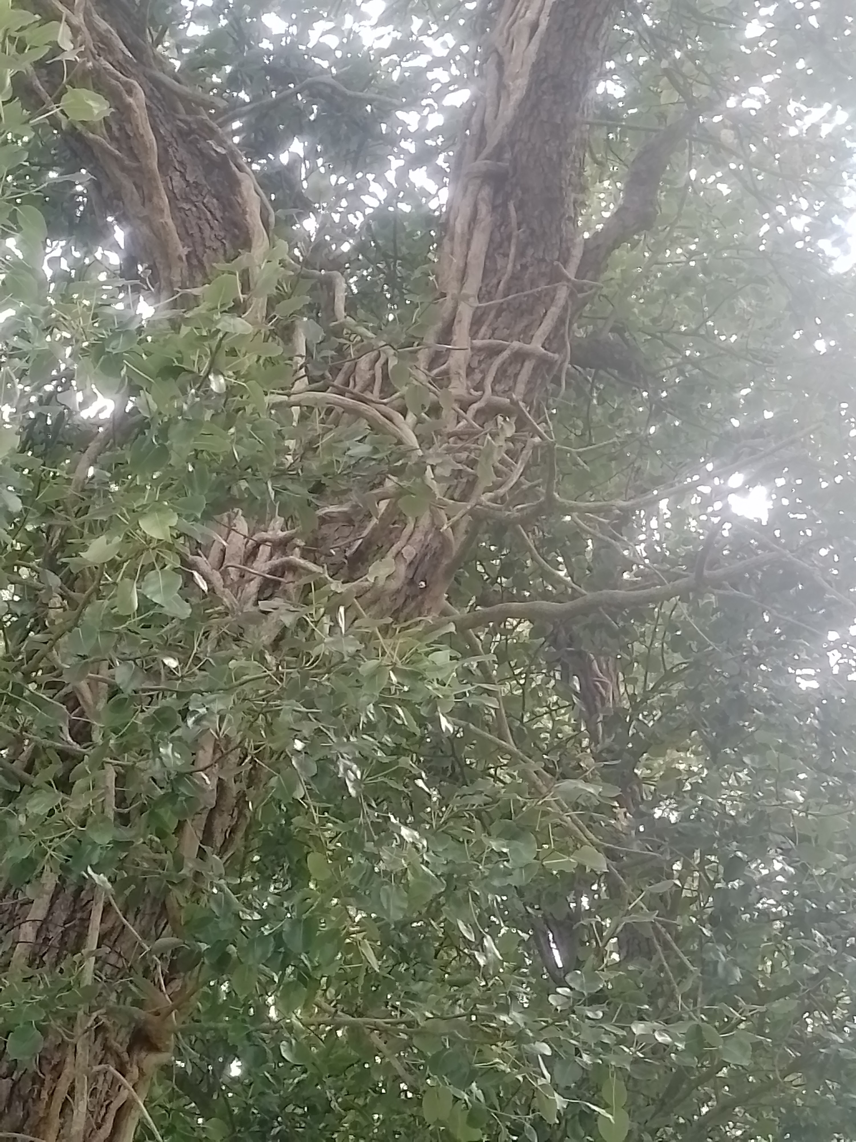 Photo n° 2 de l'avis de Martine.i fait le 27/08/2023 à 16:02