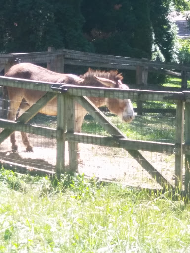 Zoo «Lords Park Zoo», reviews and photos, 325 Hiawatha Dr, Elgin, IL 60120, USA