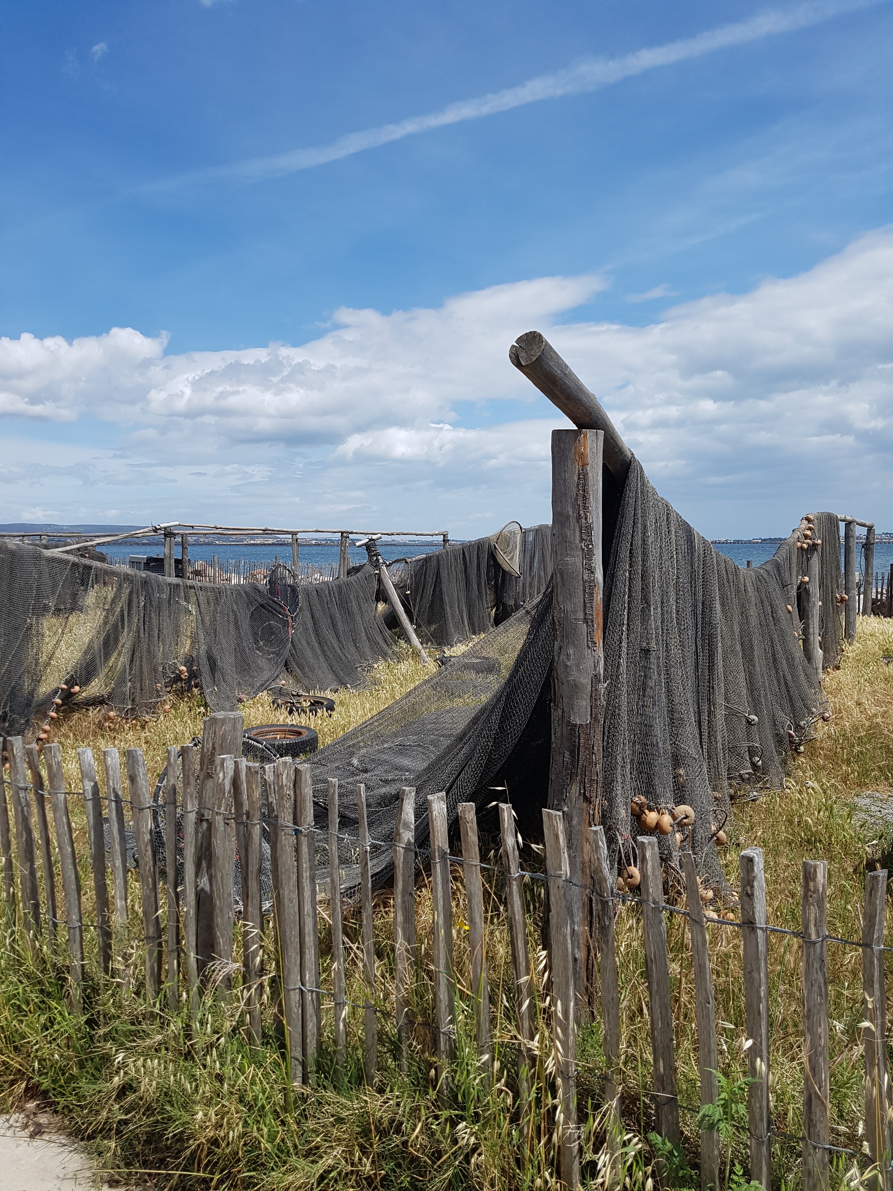 Photo n° 4 de l'avis de merlette.y fait le 21/05/2019 à 07:30