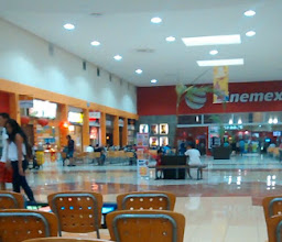 Shopping playacar photo