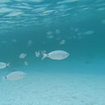 Photo n°20 de l'avis de Valerio.o fait le 26/09/2022 à 16:47 sur le  Resort Valle dell’Erica Thalasso & SPA à Santa Teresa Gallura