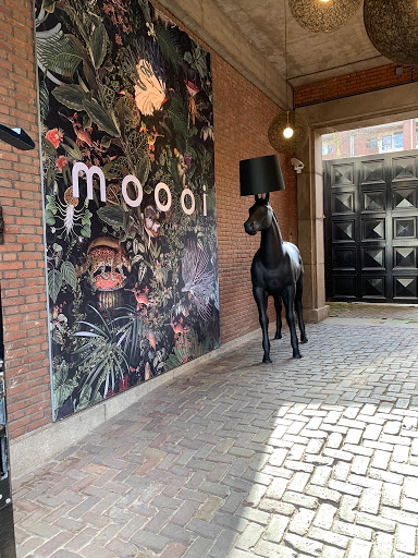 Moooi Amsterdam Brand Store