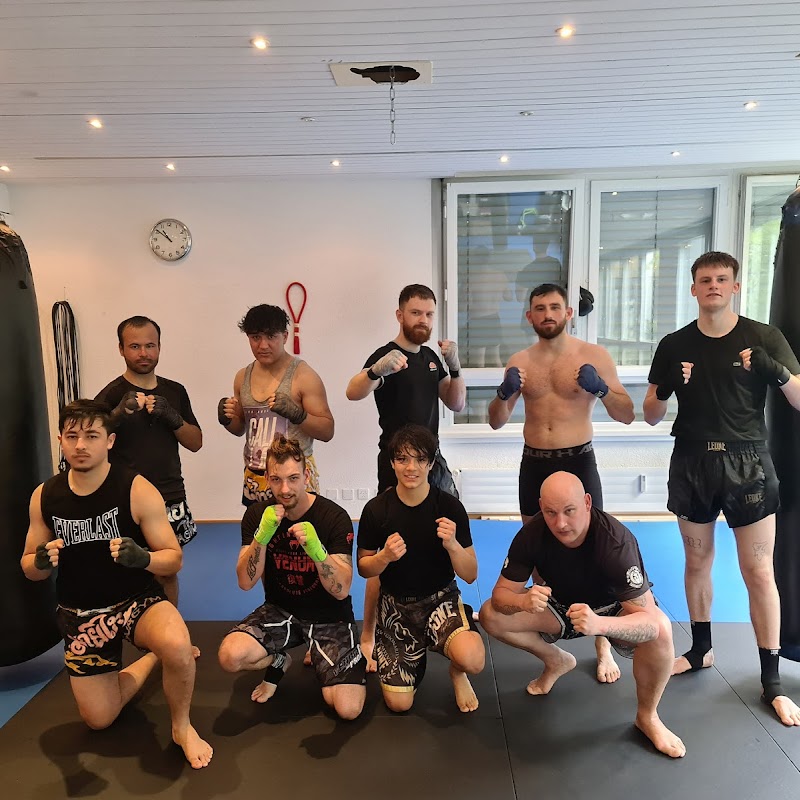 Sparring Day
