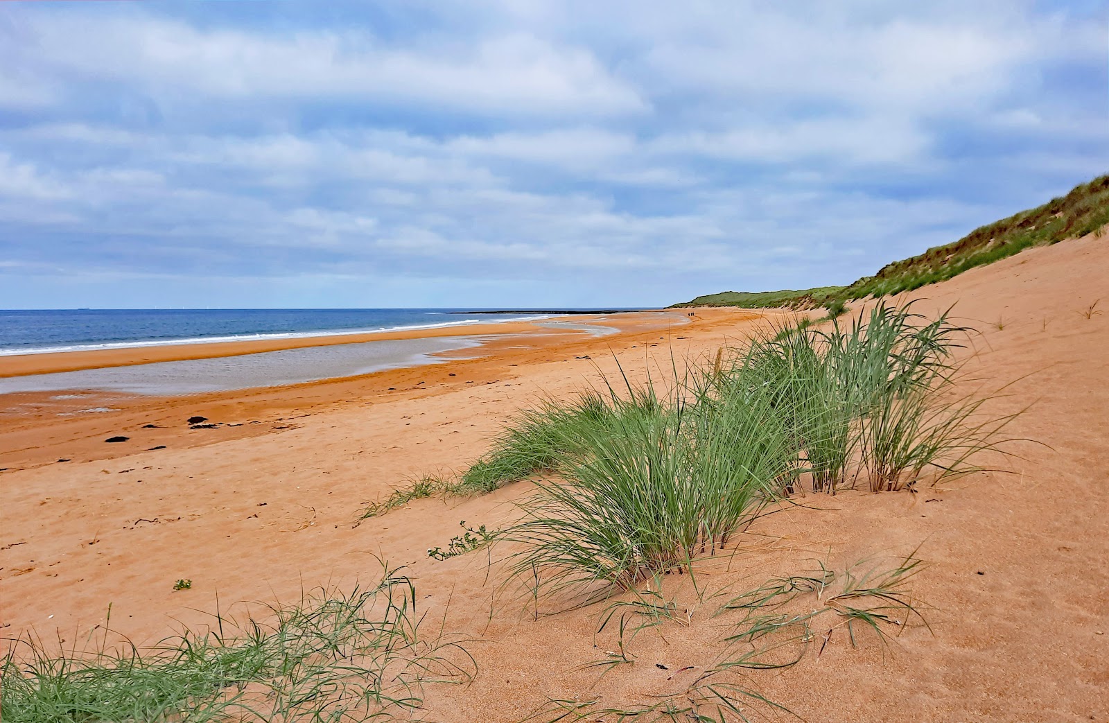 Foto van Scotstown Beach gelegen in een natuurlijk gebied