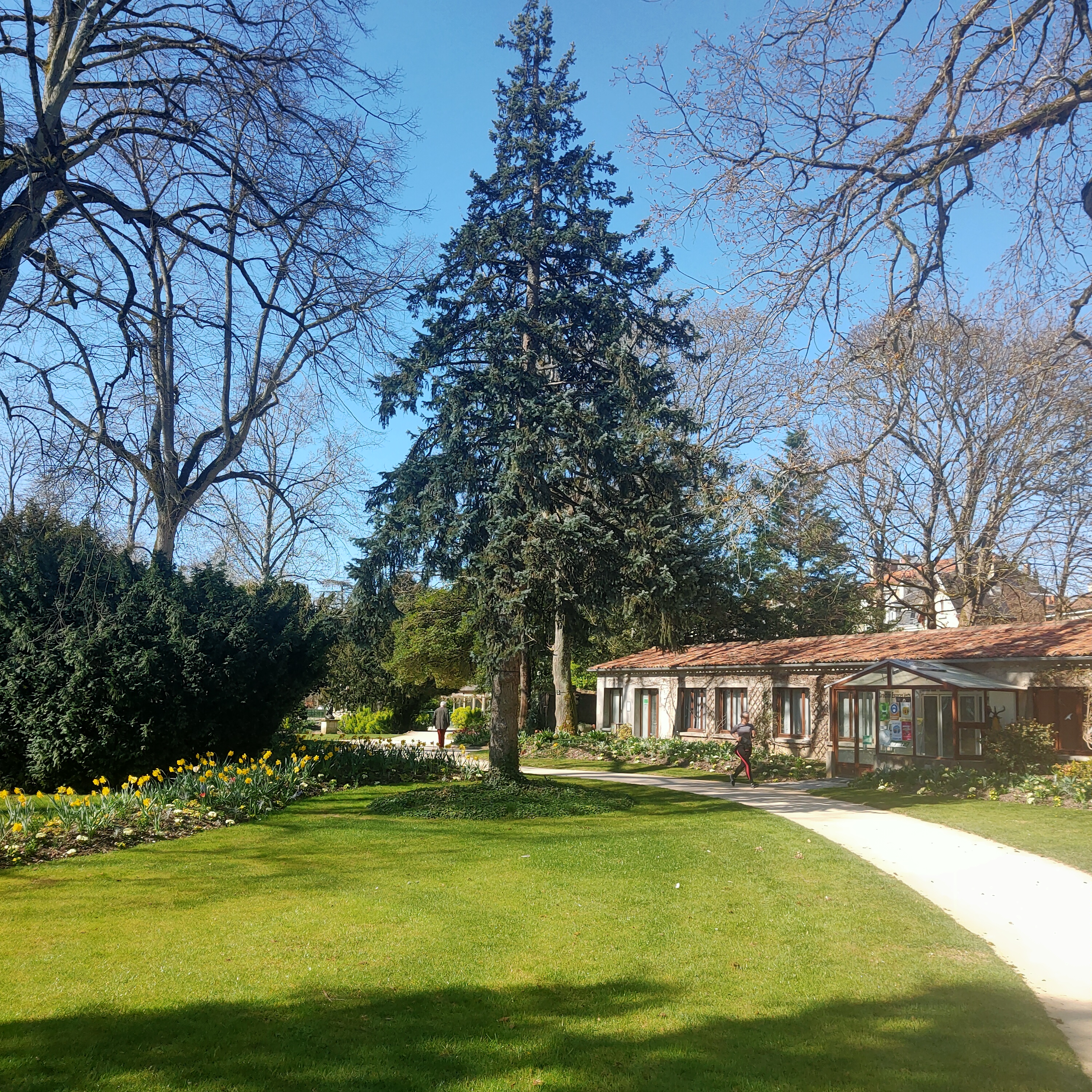 Photo n° 17 de l'avis de Johan.a fait le 10/04/2021 à 15:16