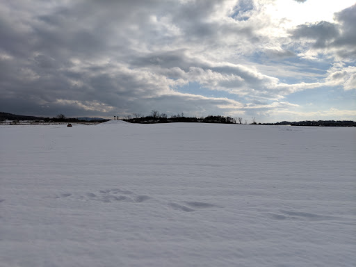 Monument «Reverence (Whales Tails)», reviews and photos, I-89, South Burlington, VT 05403, USA