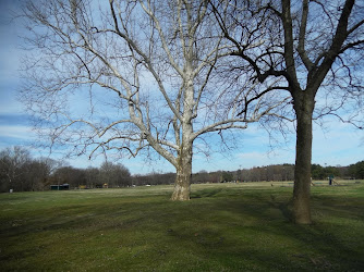 Meadow Park