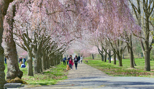 Park «Fairmount Park», reviews and photos, Reservoir Dr, Philadelphia, PA 19119, USA